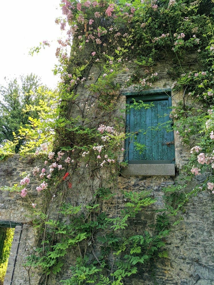 Ancient stone wall adorned with pink climbing roses surrounding a small, weathered green door, set in a lush garden.