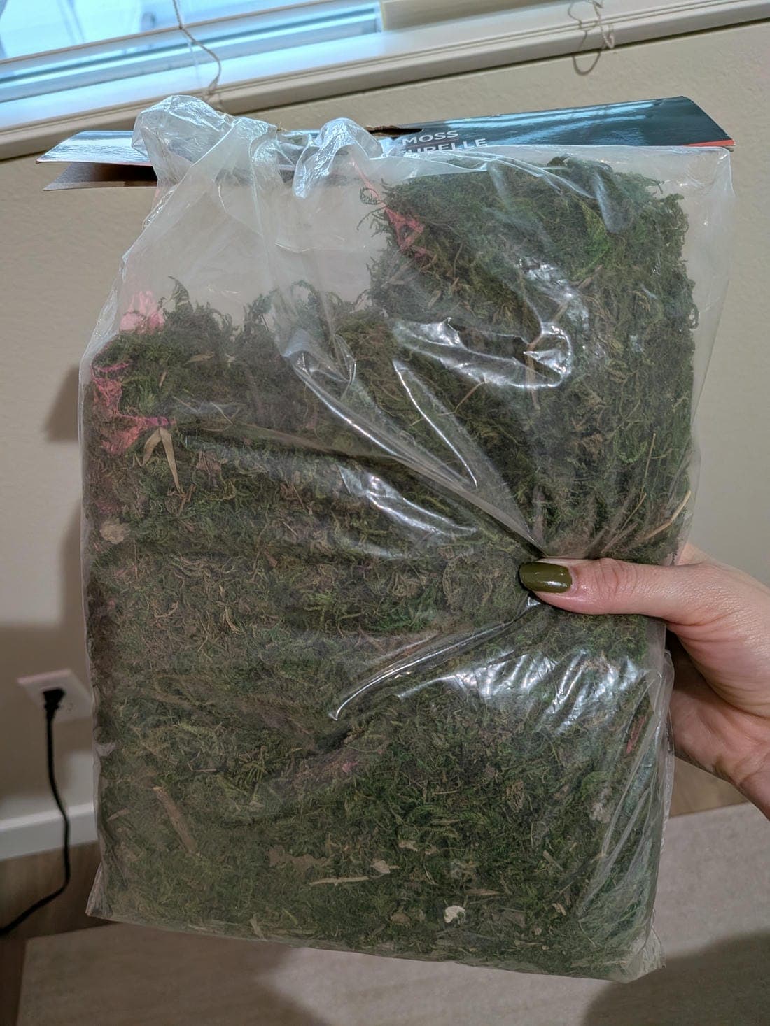 Natural Moss Natural Moss in a bag about 4.2oz