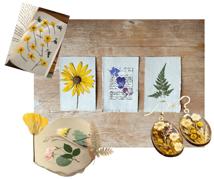 Flower Pressing Crafts dried flowers used in art, resin jewelry and clay work